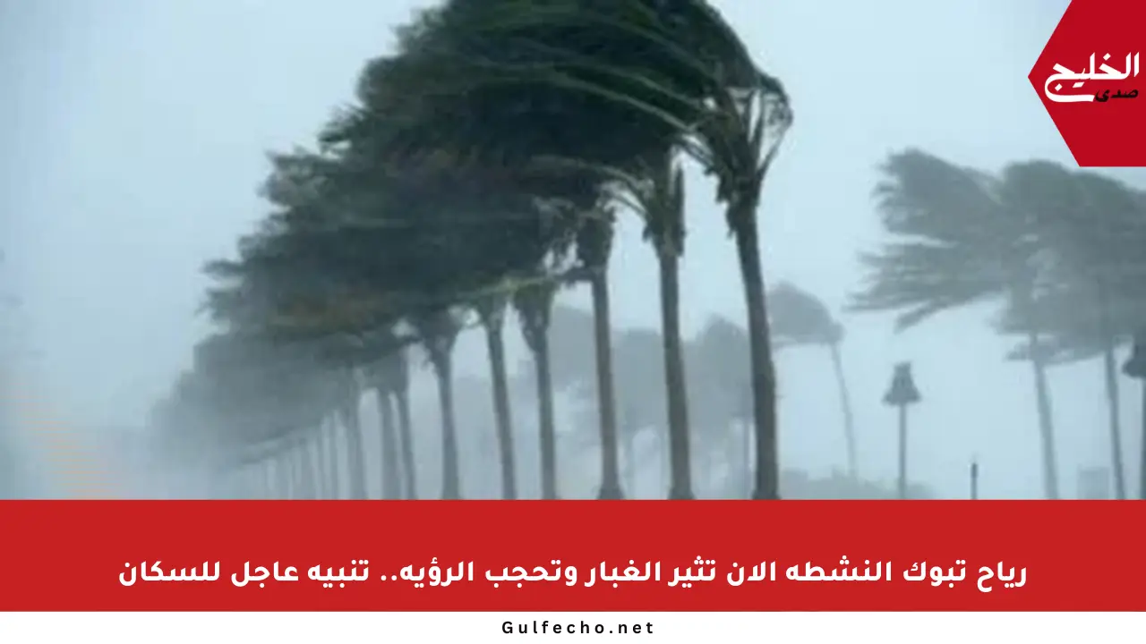 رياح تبوك النشطة الآن تثير الغبار وتحجب الرؤية.. تنبيه عاجل للسكان
